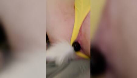 my tail