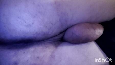 BluFox