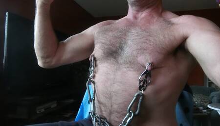 Gay Nipple Pig Muscle Daddy in harness and nipple clamps