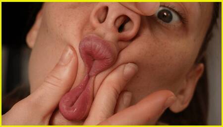 Intimate Face Exploration