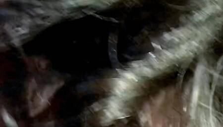 Viral Mms Leaked Desi Village Hot Girl,Desi Village hot girl very hot Romantic sed