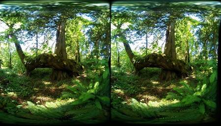 Become a masturbation addicted idiot featuring Amber Chase