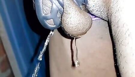 Feminized Sissy Piss Walking