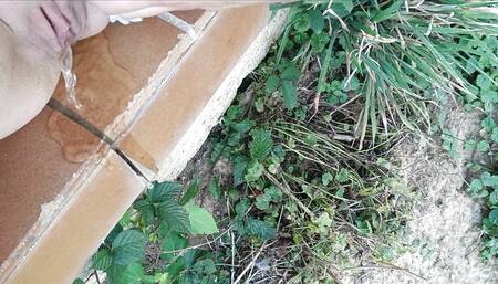 quick desperation pee on my father's terrace