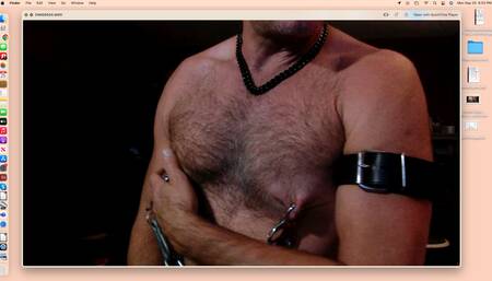 Gay Nipple Daddy Pig clamps nips flexes and wanks