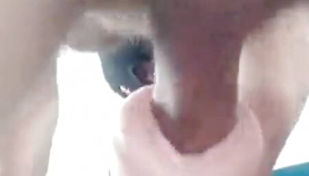Guy moaning and shaking while cumming inside a fake pussy
