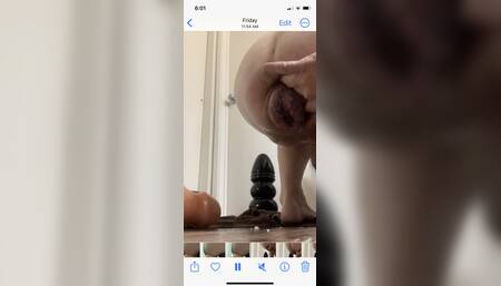 Giant walrus dildo and prolapse asshole depth training and stretching