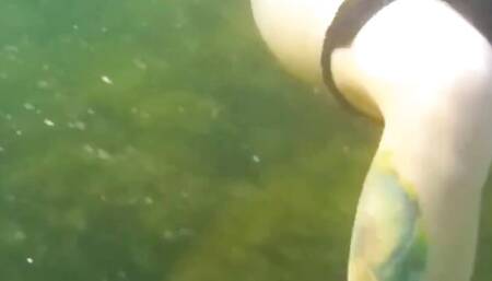 Crazy Diver Took Me on Camera While I Am Swimming in the Sea