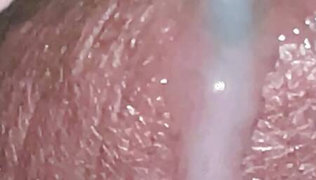 Super close dick cum shot slow motion