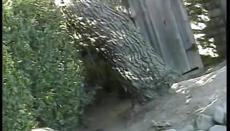 Randy chicks by the pool go muff diving and insert dildo in cunts