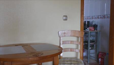 fucking the working house cleaner