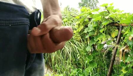 Village Masturbation in Outdoor Handjob Cumshotot