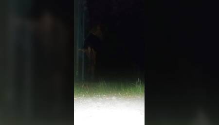Tranny public dildo fuck