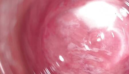 Internal Camera deep inside Mia's creamy pussy, Welcome to my vagina