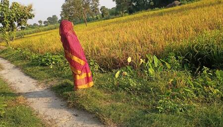 Desi paddy harvesting, new daughter-in-law's father-in-law fucked. Hindi conversation. HQ XDES
