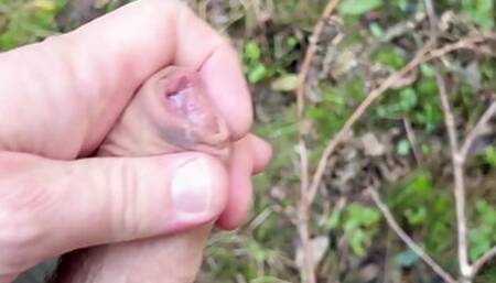 Quick wank and cum in the woods