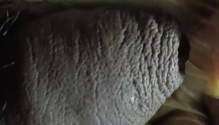 hot stepdad masturbating to stepson