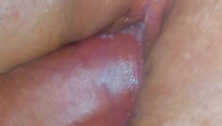 Sexilvenia Close-Up