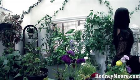 India Summer Charley Chase parody 4 way