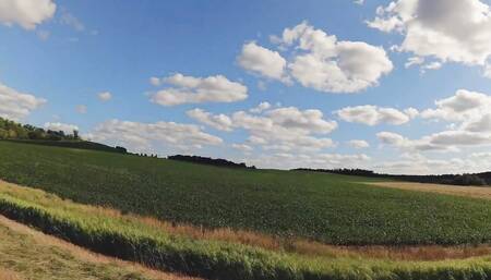 He Let Me Suck His Cock on the Way to the Campsite