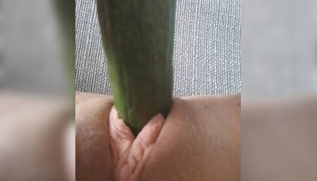 Pussy