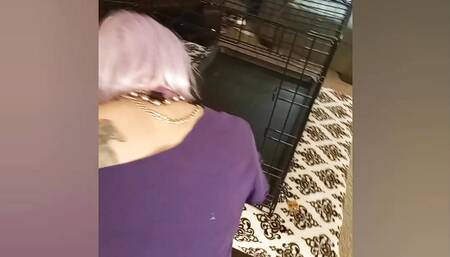 Goddess Violet Presents: The Feminization of M