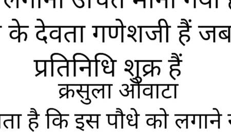 Story hindi