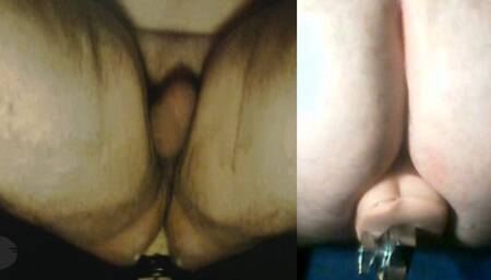 Updated two views of fat bear taking a toy and a special ending.