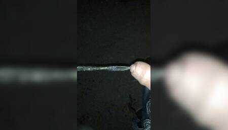 Pissing in public road