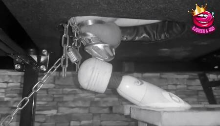 Made to Cum in Chastity Cage Restrained on the Milking Table