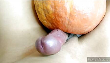 Hands-free pumpkin masturbation cream pie on stomach