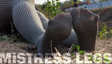 Goddess In Grey Opaque Pantyhose Foot Tease On The Walks