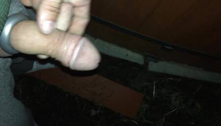 pissing