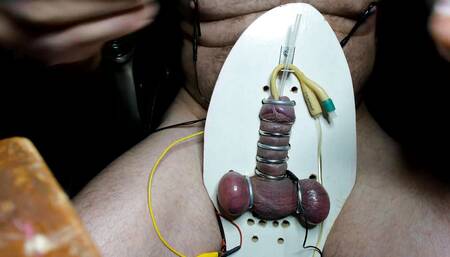 Electro strapped to board needles in testes