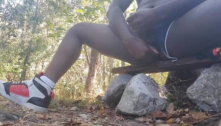 Black Cock and Ass Play in the Park