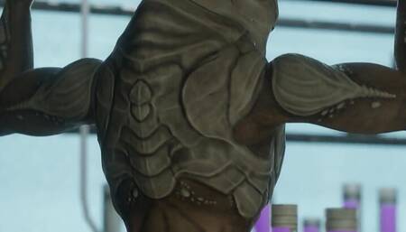 Female Turian Growth Animation