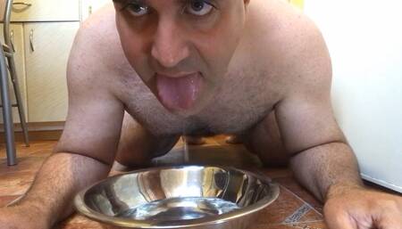 Maxx821 drinks water like a dog