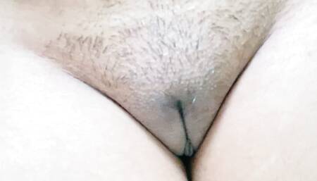 Desi Indian sexy hairy pussy