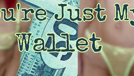 You're Just My Wallet