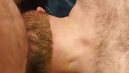 Bear Beard Hairy Furry Fur