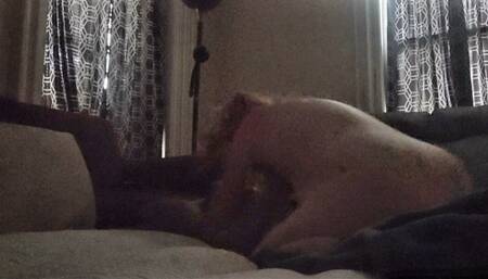 Waking Up StepDaddy When Mommy's Is At Work