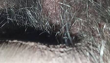 Indian Desi porn strong cock
