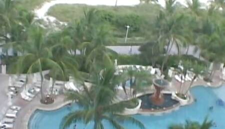 One stunning chick with her perfect sucking skills