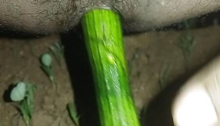 I was caught putting gourd in my ass, you also see how beautiful my ass is.