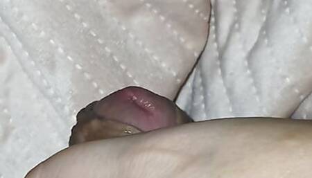 The kinky Romanian woman makes the paw of an economics student