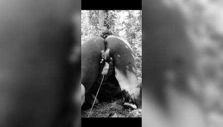 Doggy style cumming in forest.