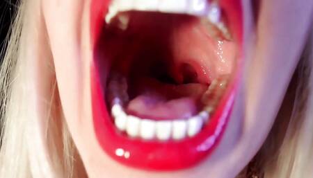 Your Total Absorption