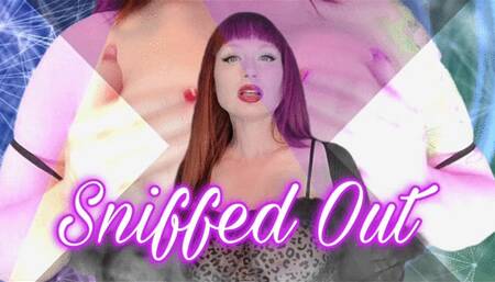 Sniffed Out Bitch SD WMV