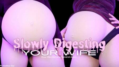 Slowly Digesting your Wife - HD