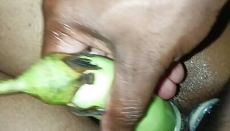 Mallu enjoy Brinjal and cock fucking